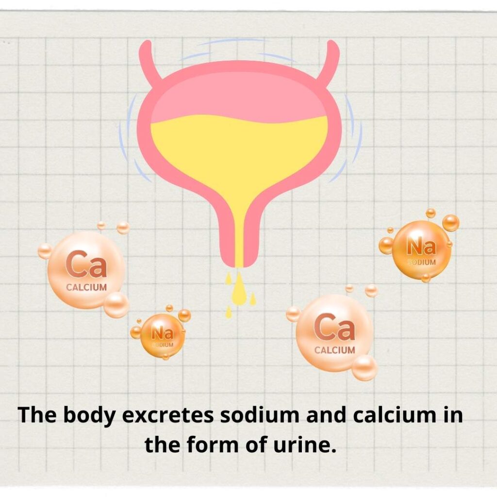 osteoporosis is caused from the body excretes sodium and calcium.